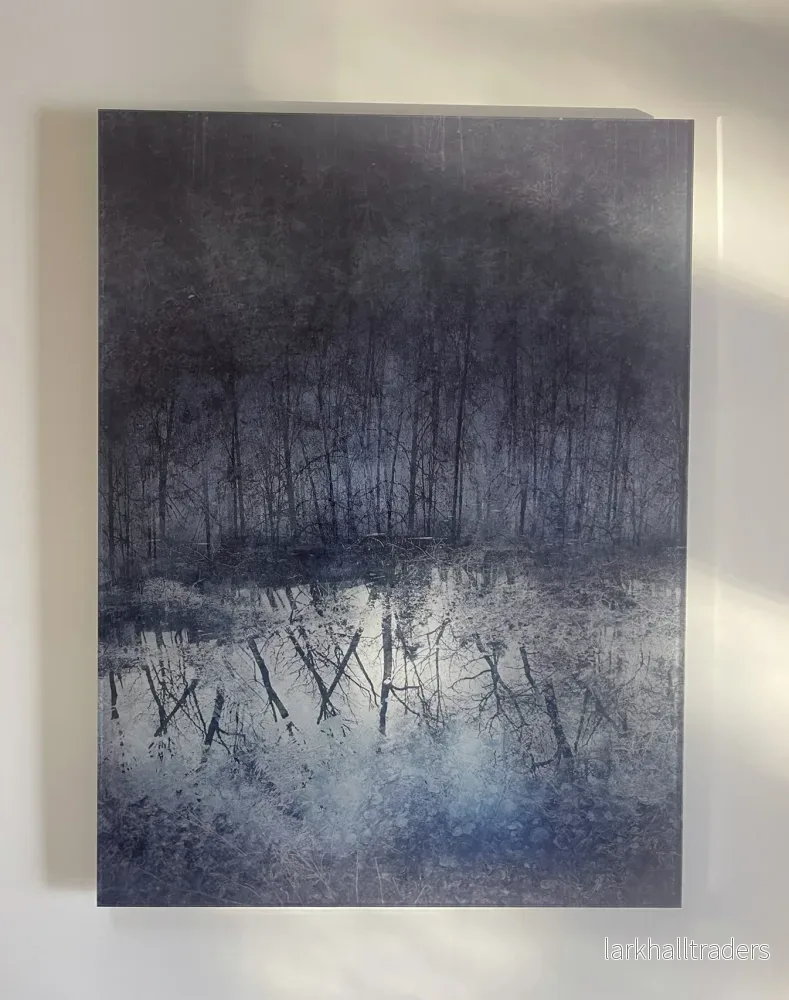 Frozen – Print på akrylglas