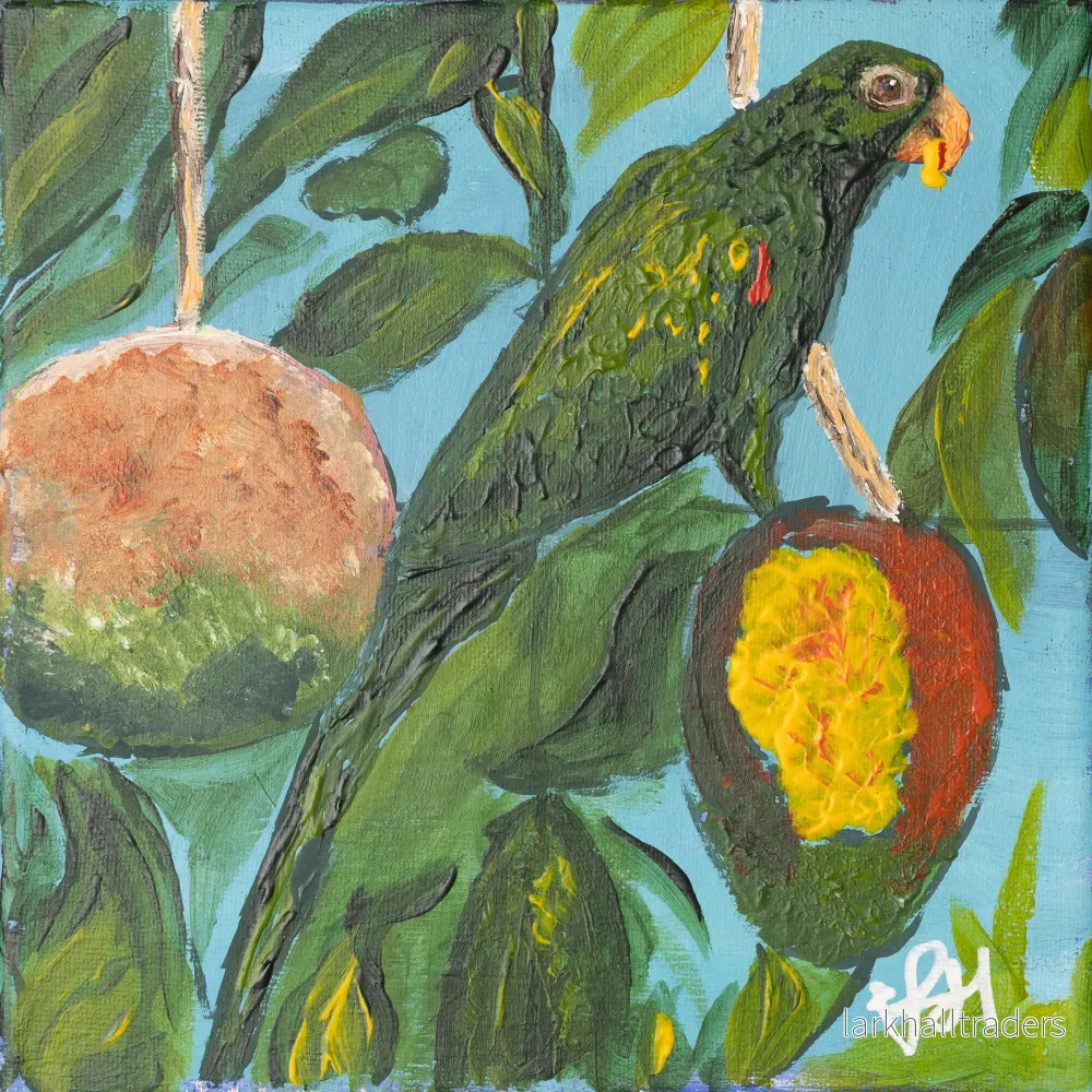 Mango - Poster - Bild 2