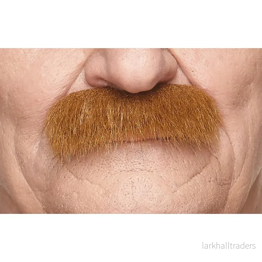 Mustasch, professor kastanj Mustasch, professor kastanj