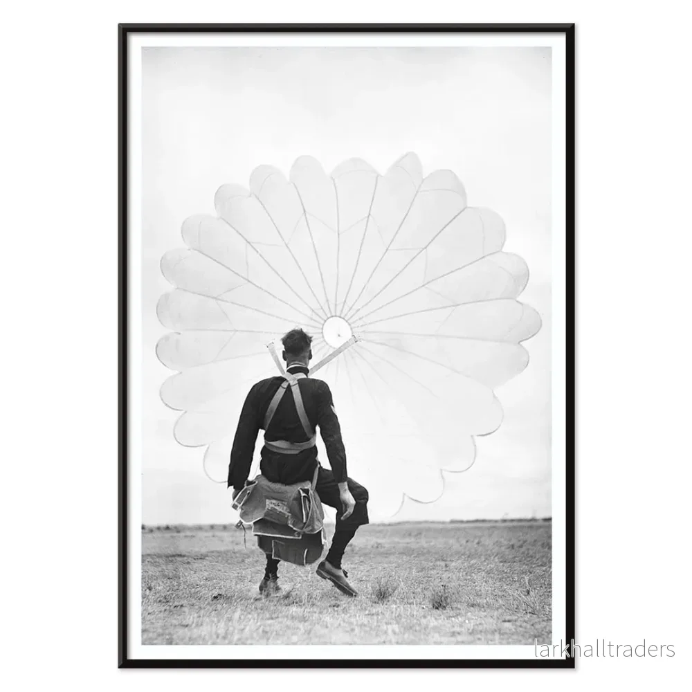 Flygvapnets fallskärmshoppare Poster - Bild 2