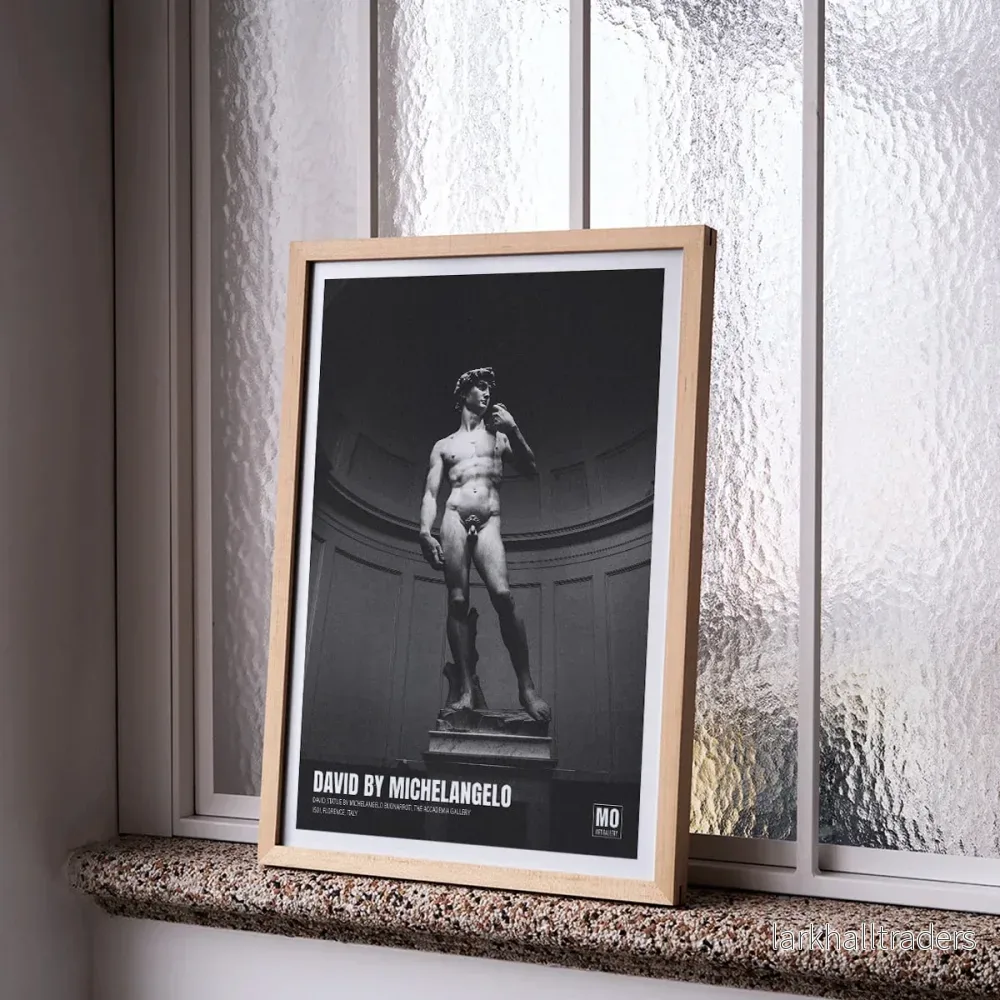 David av Michelangelo Poster