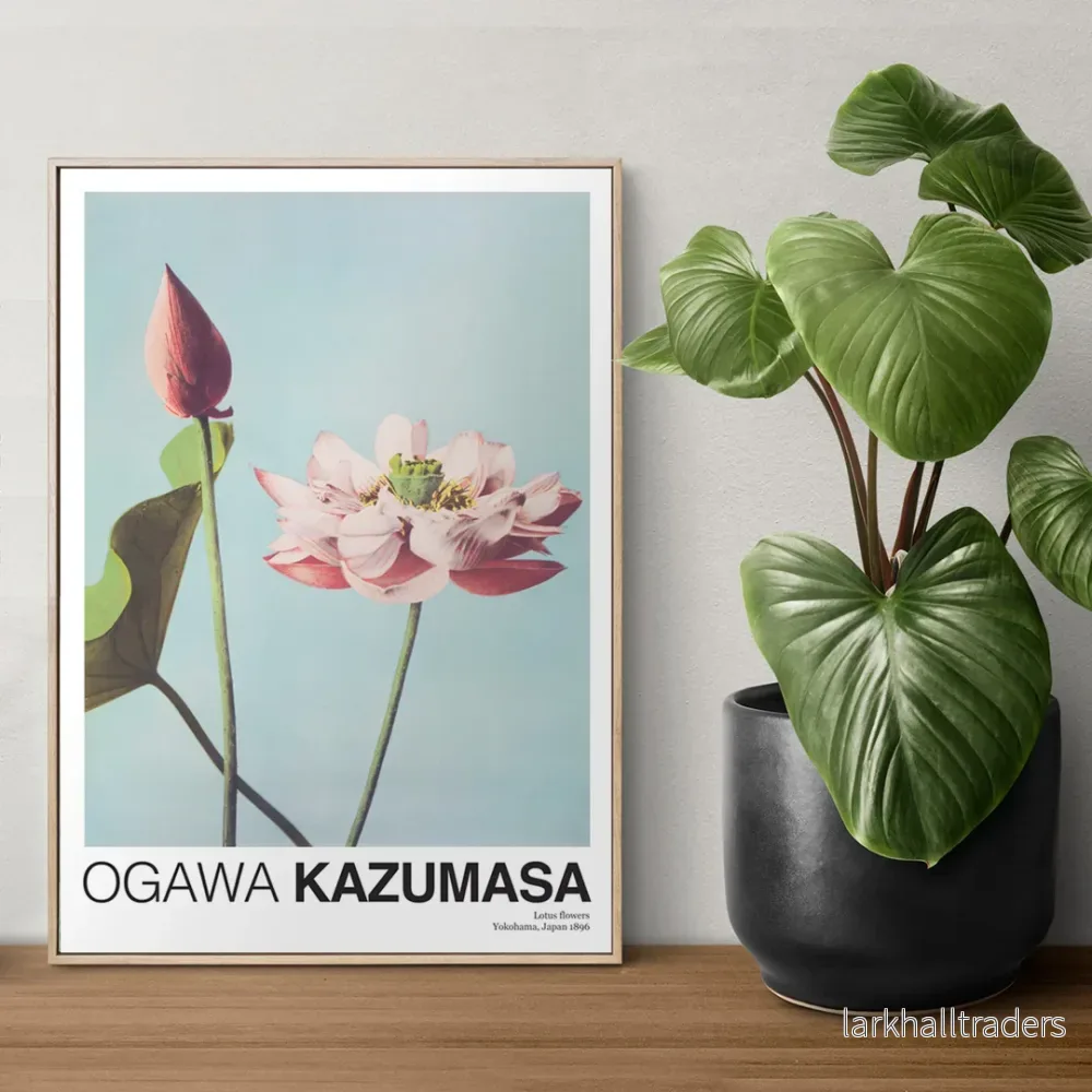 Lotusblommor Poster
