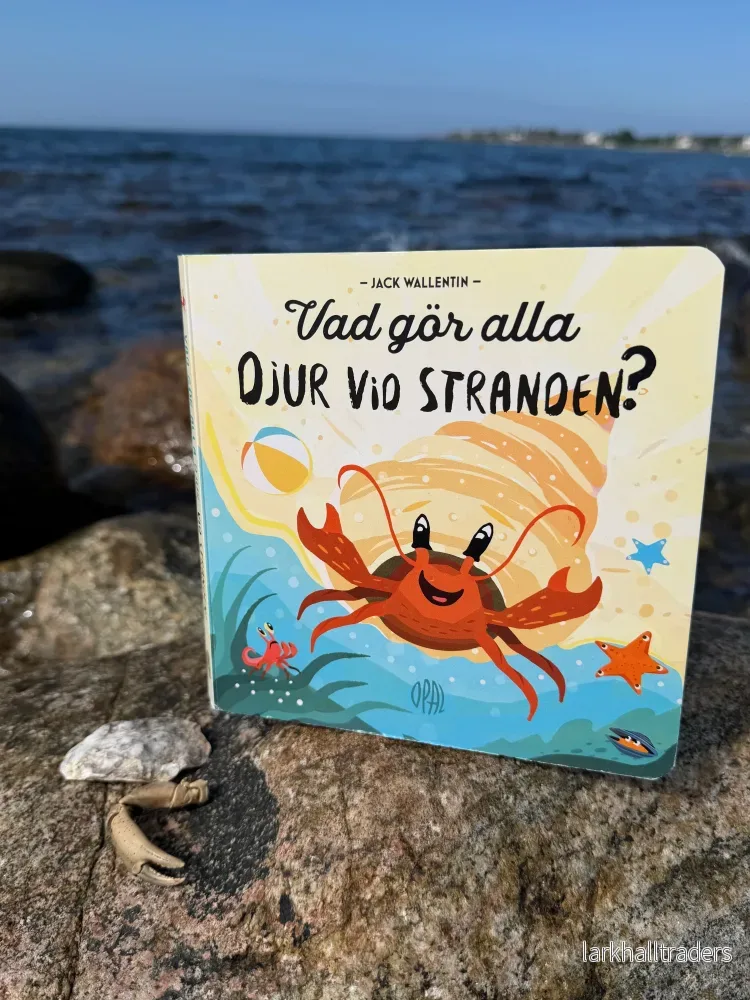 Vad gör alla djuren vid stranden? - Bild 2