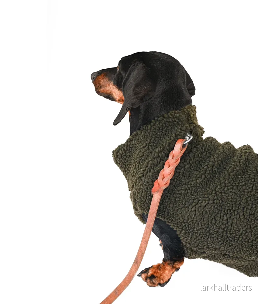 PILE SWEATER DACHSHUND - KHAKI - Bild 3