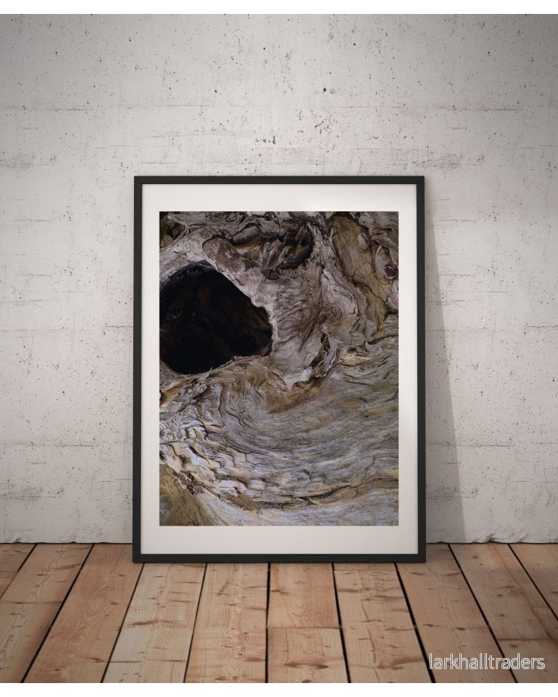 Primal Void - Foto Poster Print - Bild 2
