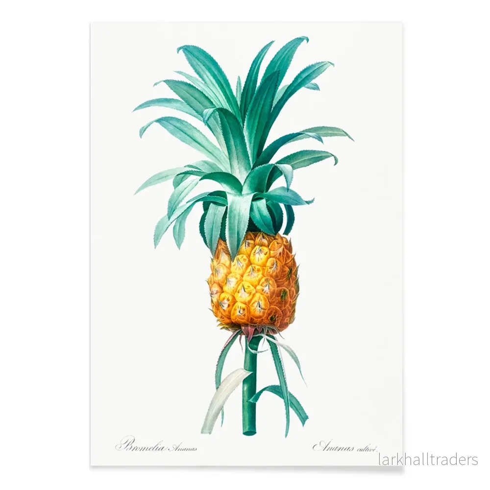 Ananas Poster - Bild 2