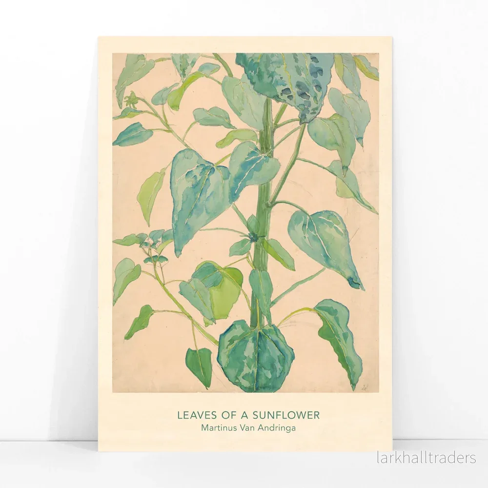 Blad av en solros Poster - Bild 3