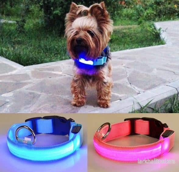 Hundhalsband med LED-lampor Hundhalsband med LED-lampor