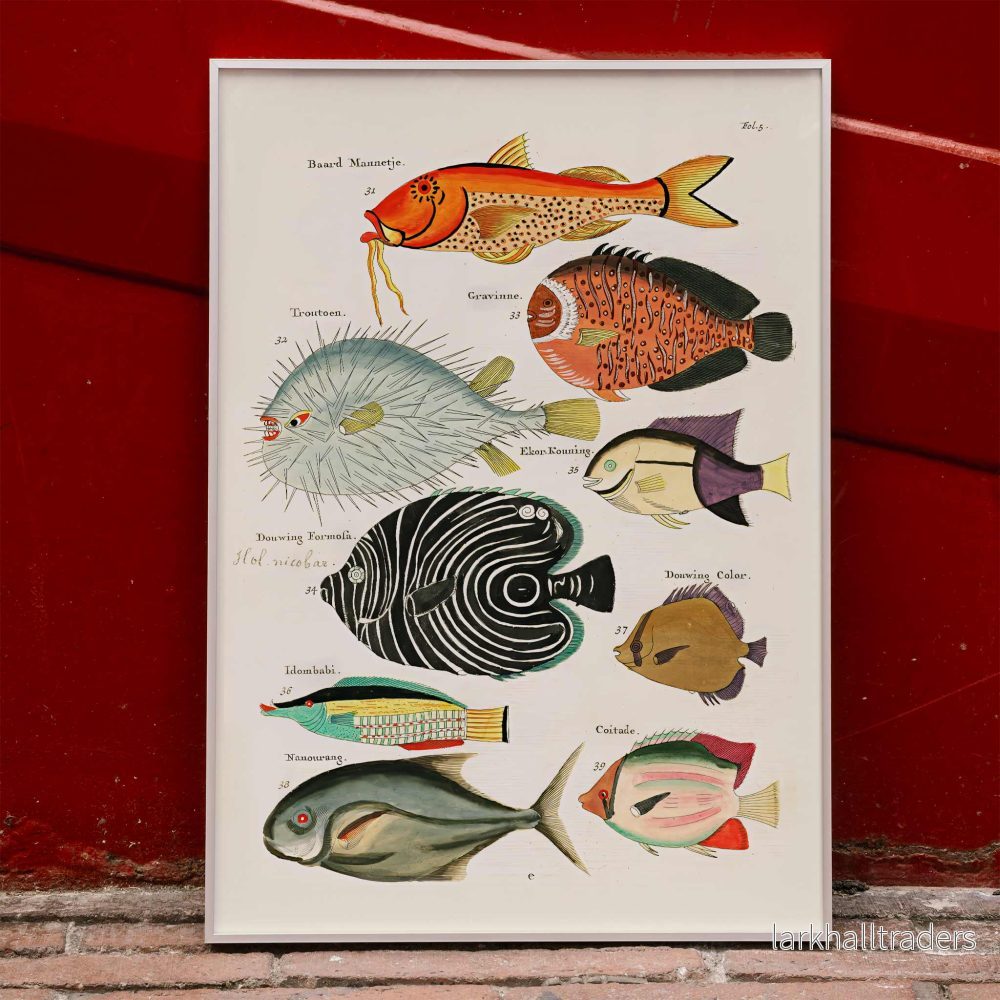 Surrealistiska fiskillustrationer Poster