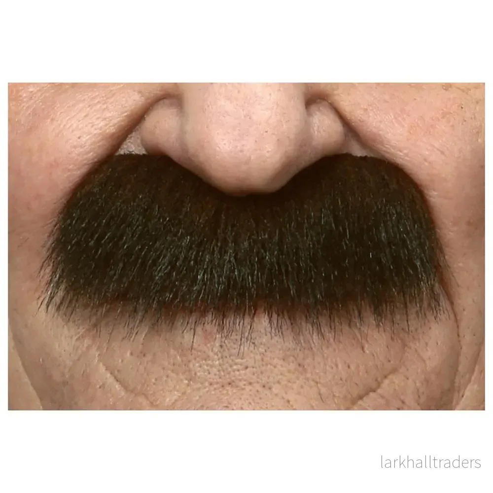Mustasch, professor brun Mustasch, professor brun