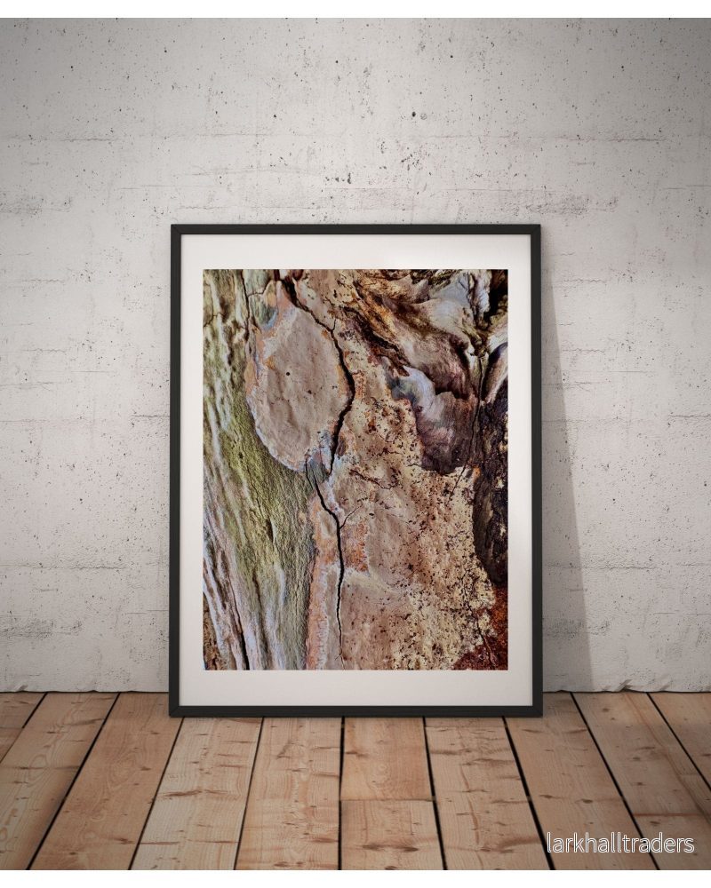 Lichen Reverie - Fotoposter Print - Bild 2
