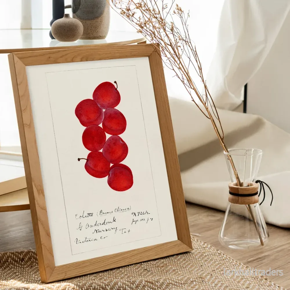 Plommon Prunus domestica Poster Plommon Prunus domestica Poster