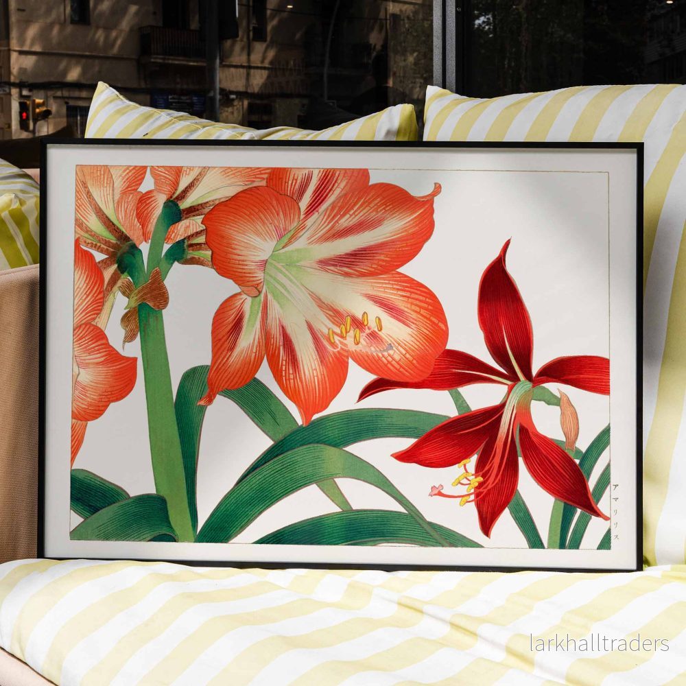 Amaryllis Poster