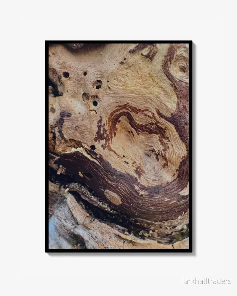 Sylvan Trace – Foto Poster Print Sylvan Trace – Foto Poster Print
