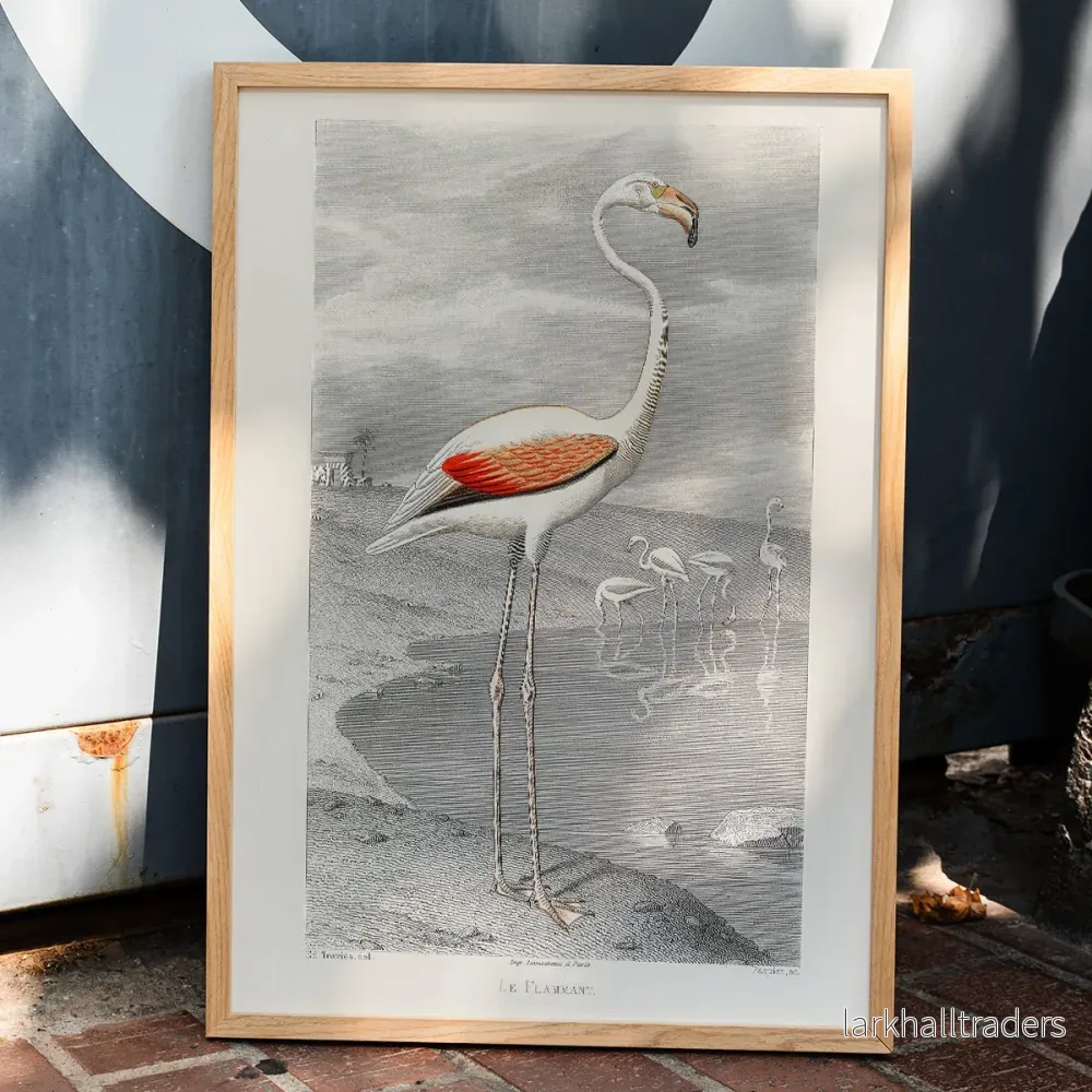 Flamingo Poster