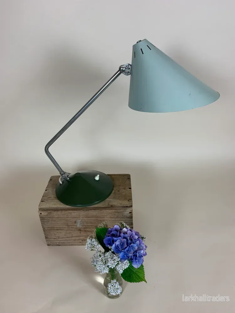 Fin och sällsynt Hala-lampa Fin och sällsynt Hala-lampa