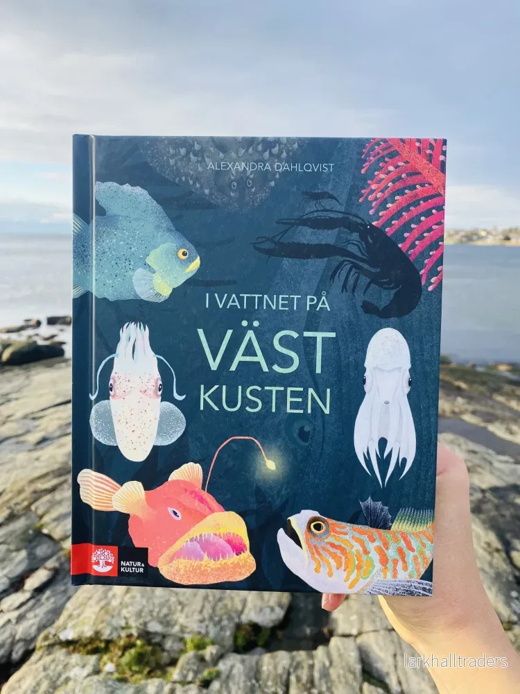 I vattnet på västkusten - Bild 2