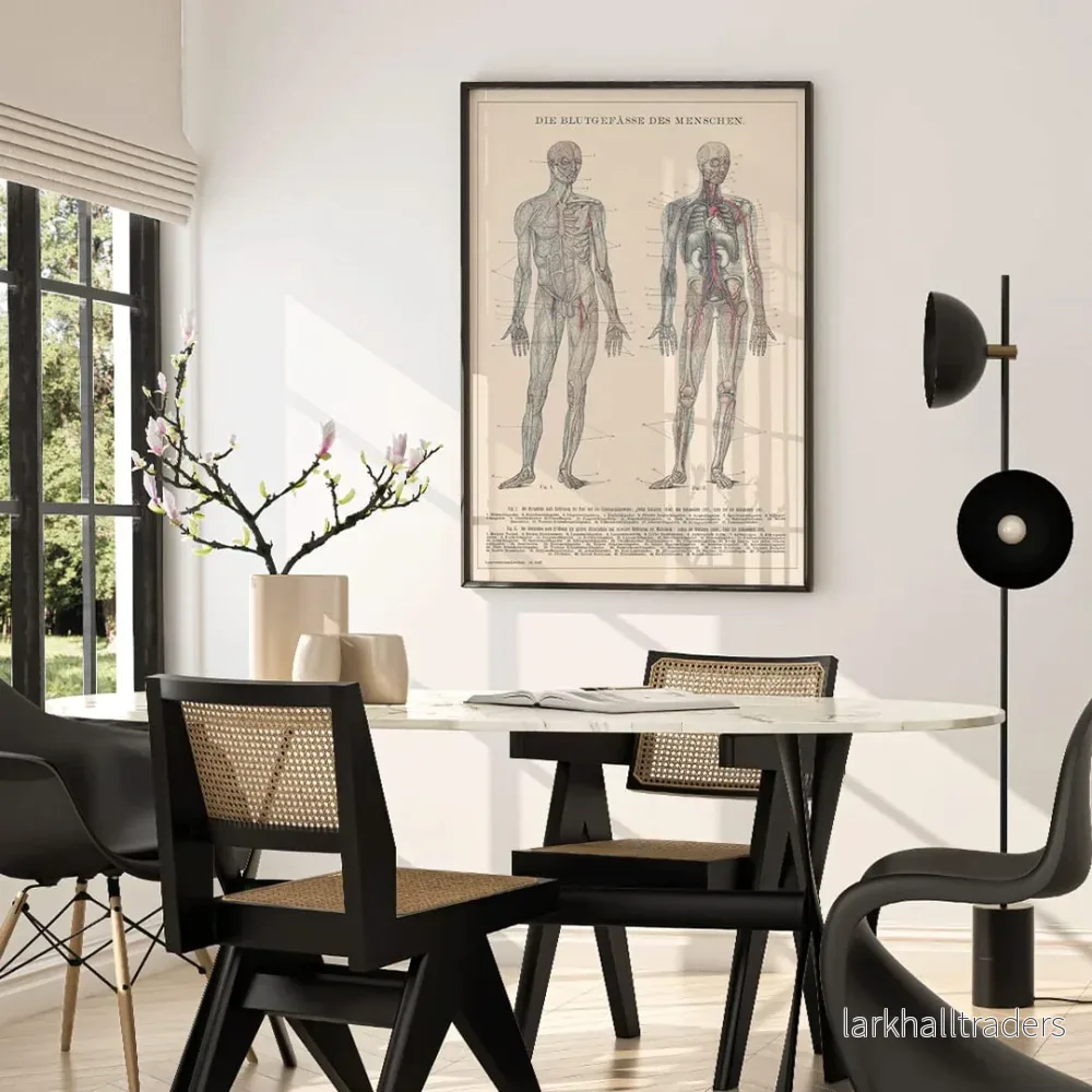 Människans blodomlopp Poster