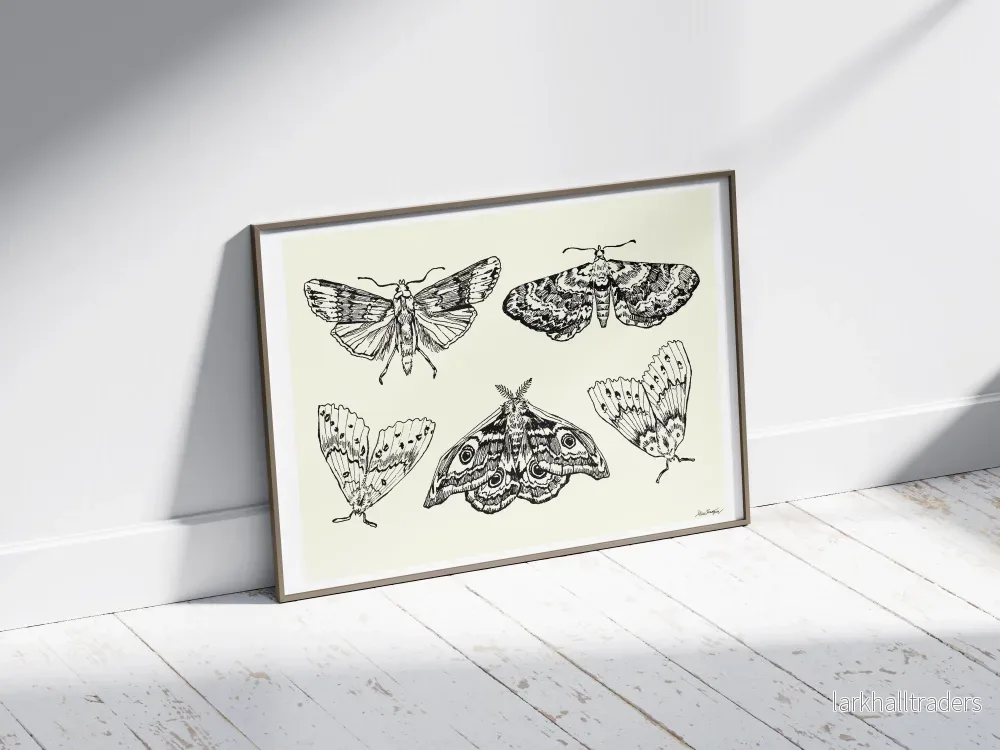 Flygfän - Poster - Bild 3