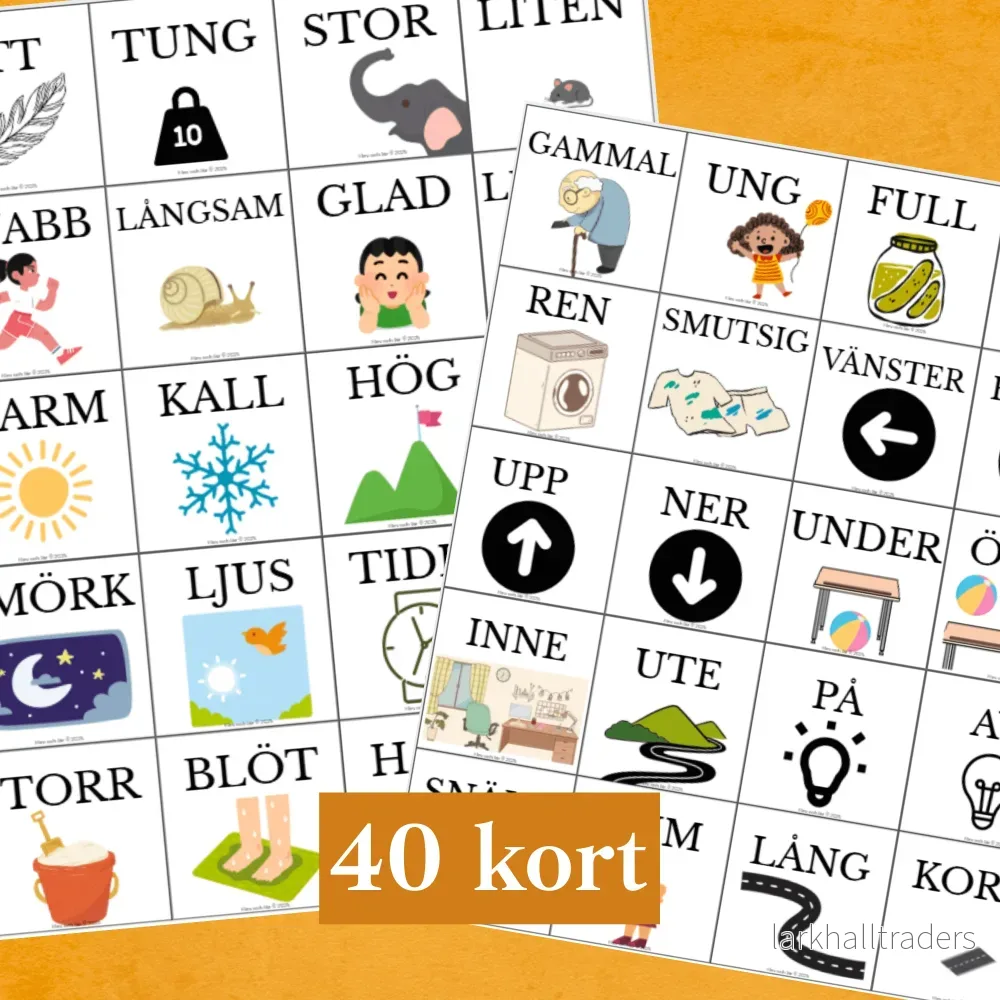 Memory motsatsord med bildstöd - 40 kort - Bild 2