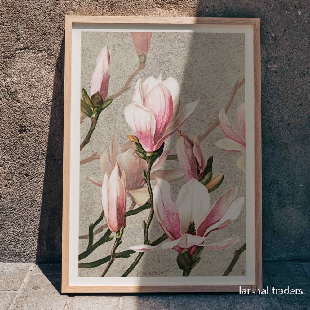 Magnolia Poster Magnolia Poster