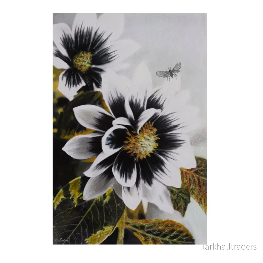 Dahlia Face (Florals), Konstkvalitet Poster - Bild 2