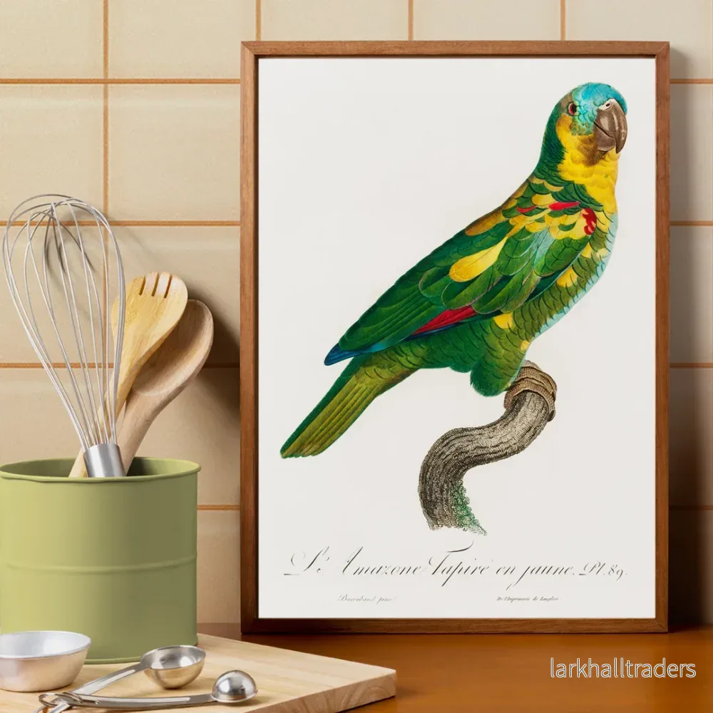 Turkospannad amazona Poster Turkospannad amazona Poster