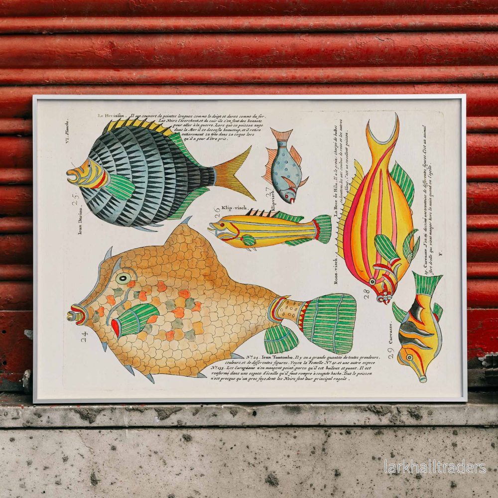 Färgstarka och surrealistiska fiskillustrationer 5 Poster