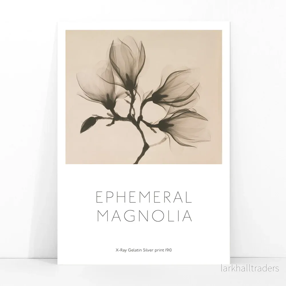 Magnoliakvist Poster - Bild 3