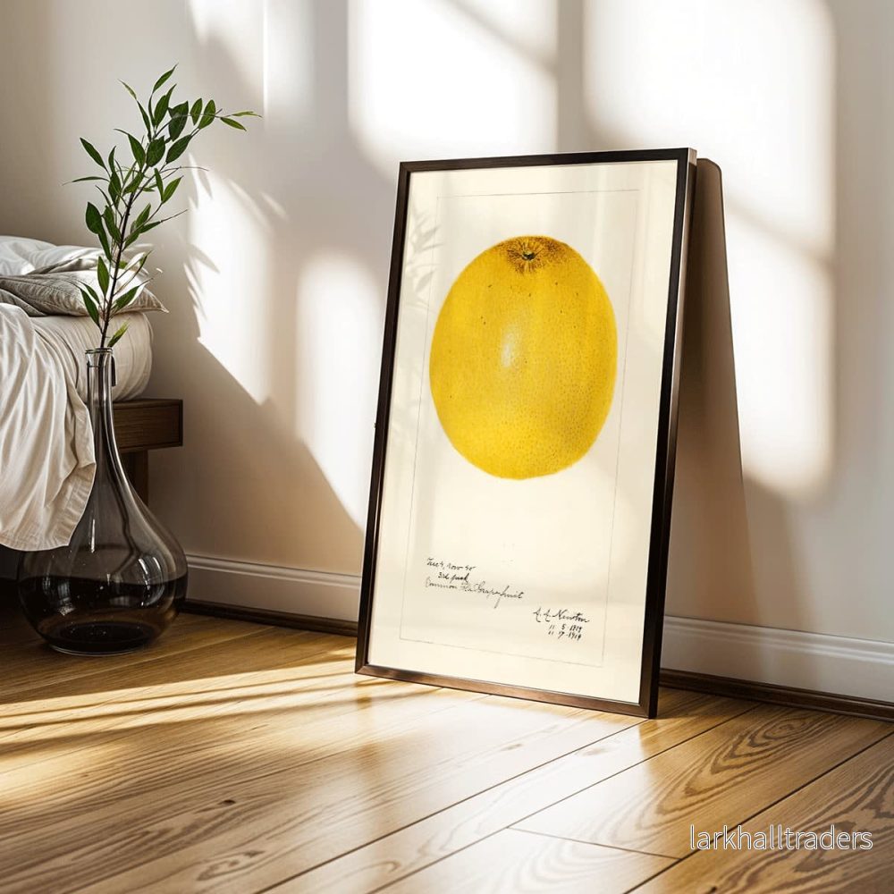 Citrus paradisi Poster - Bild 3