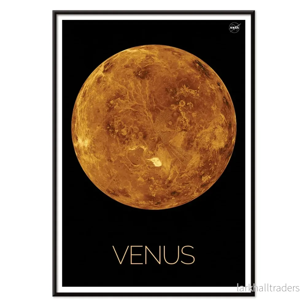 Venus Poster - Bild 2