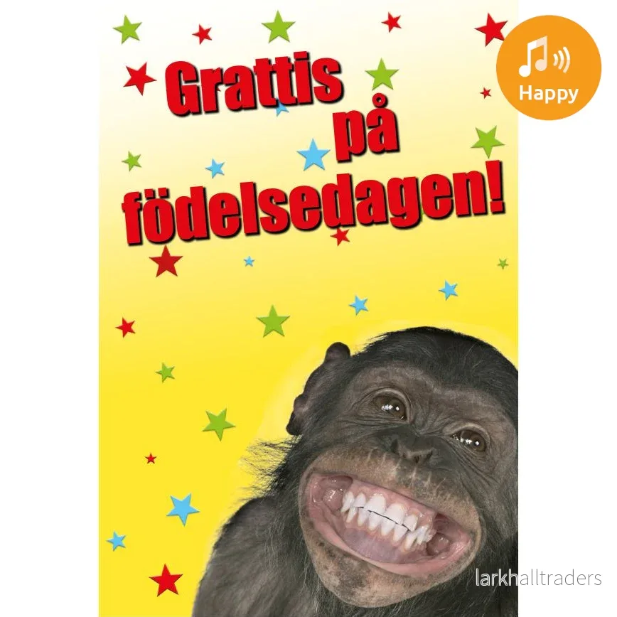 Dubbla kort med ljudeffekt, Din dag - Bild 2
