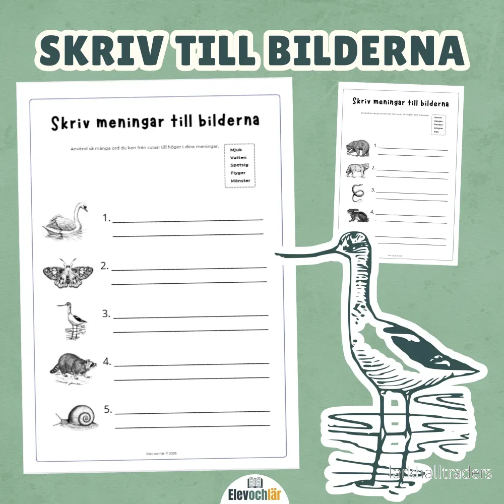 Skriv till bilderna djur – använd ord i dina meningar.