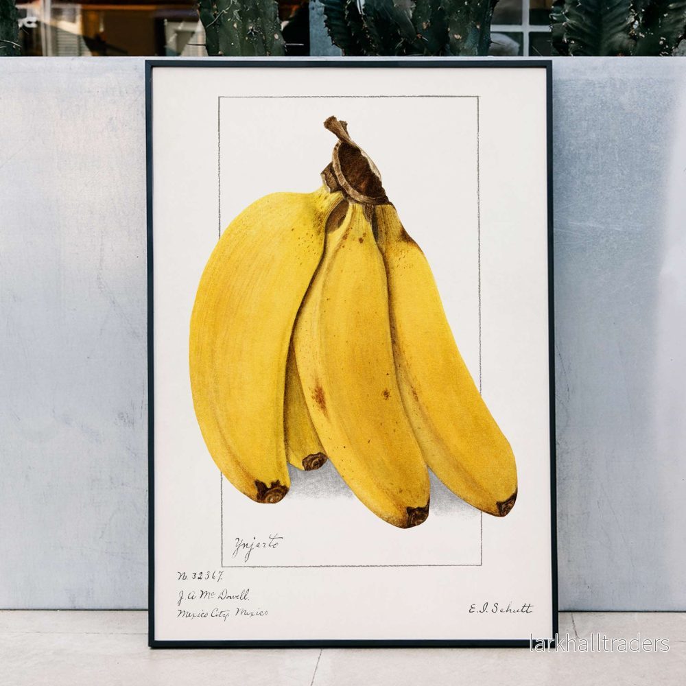 Bananer Poster Bananer Poster