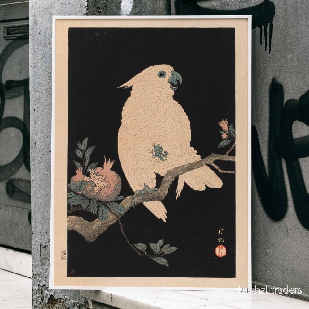 Kakadua med granatäpple Poster