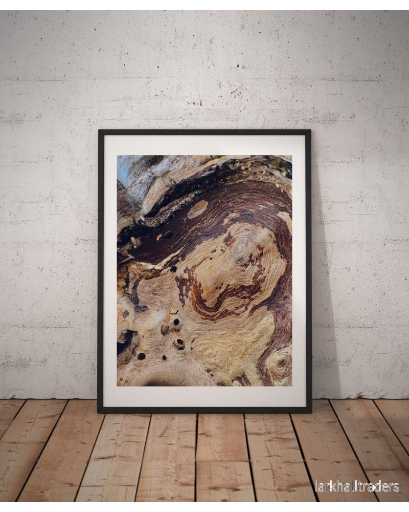 Sylvan Trace - Foto Poster Print - Bild 2