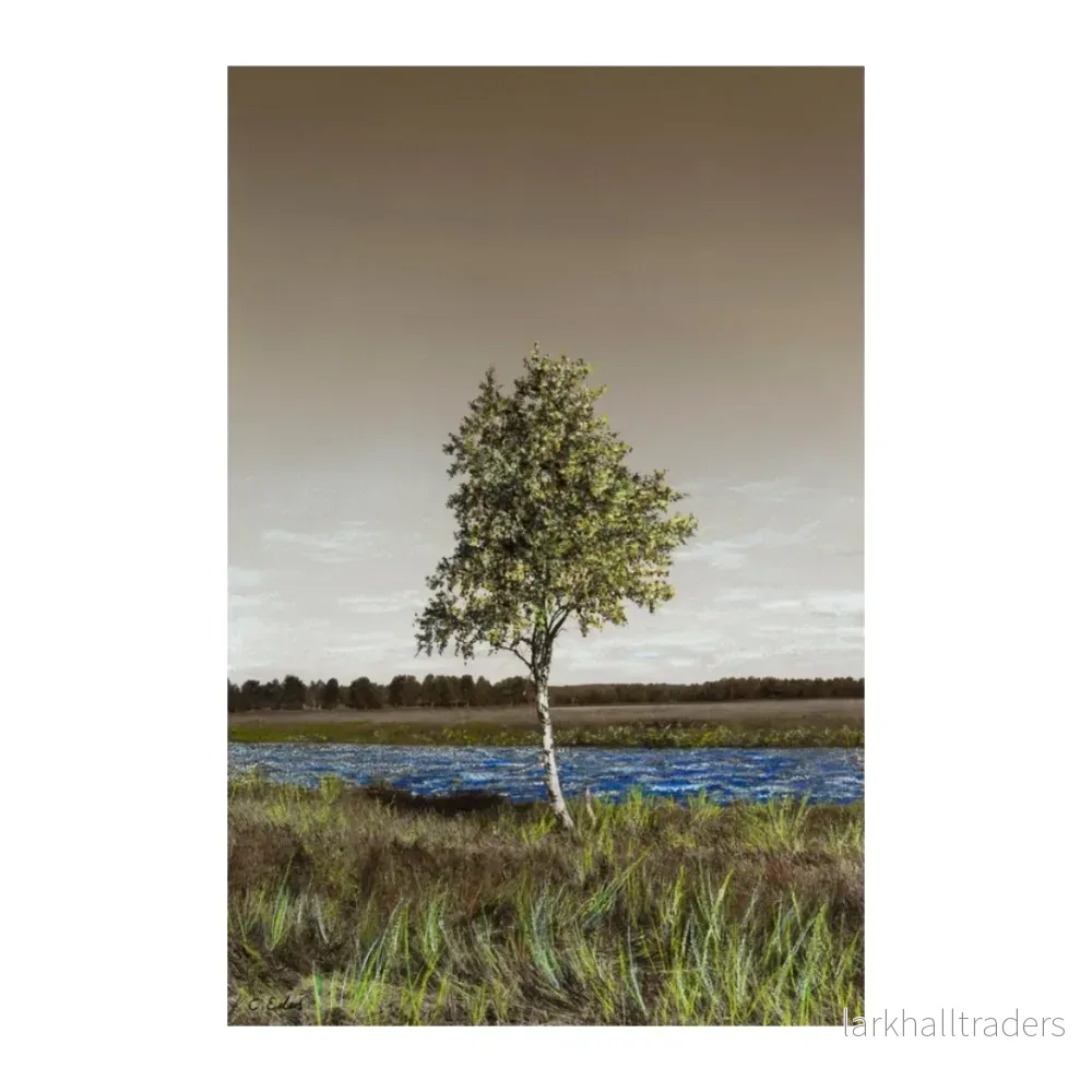 Birchy (Landscape), Konstkvalitet Poster - Bild 2