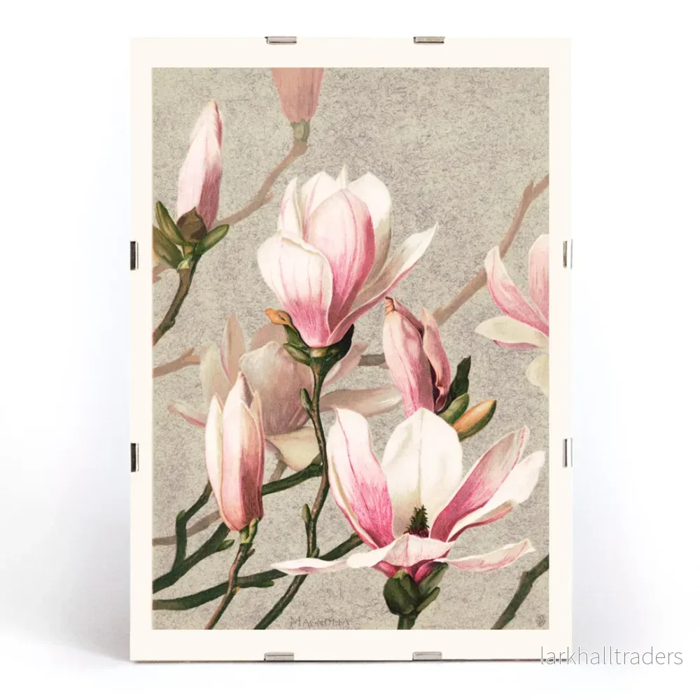 Magnolia Poster - Bild 3