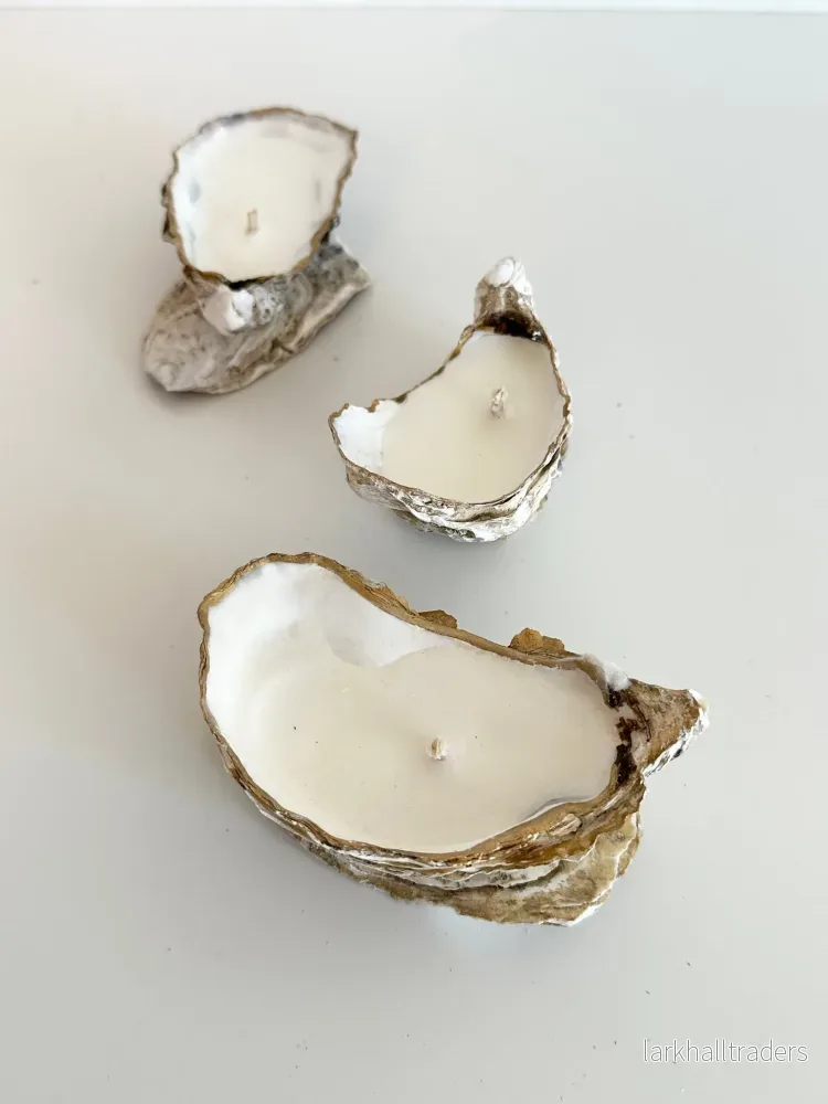 Oyster Ljus Set om 3 / Adrian Gold Edge Oyster Ljus Set om 3 / Adrian Gold Edge