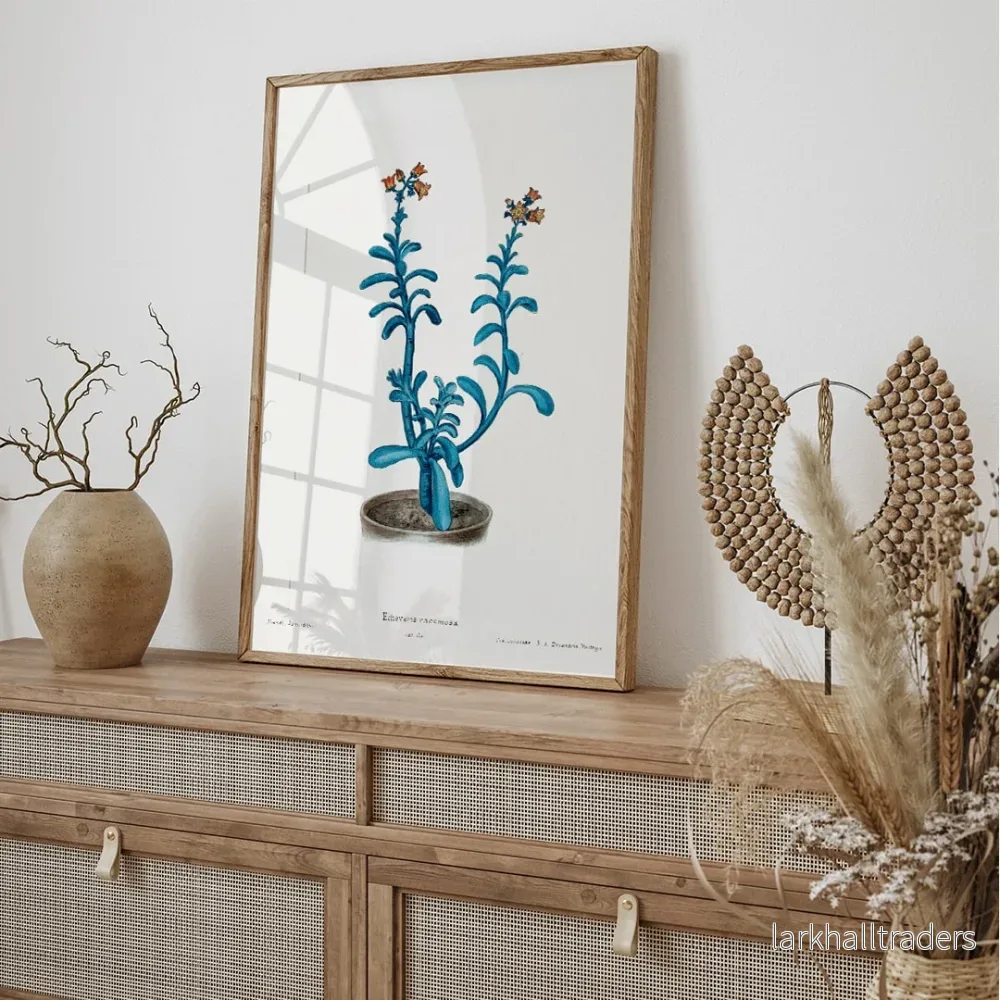Brun socker Echeveria Poster