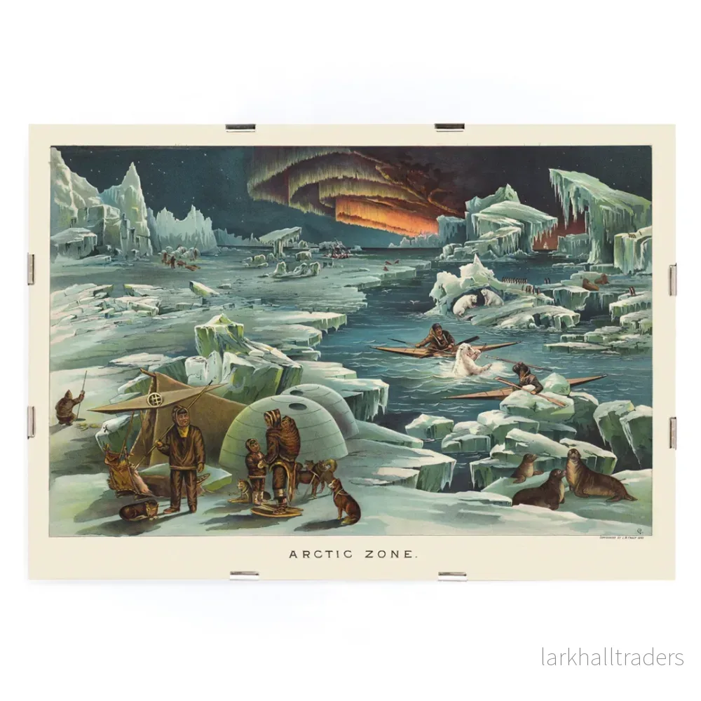 Arktisk zon Poster - Bild 3