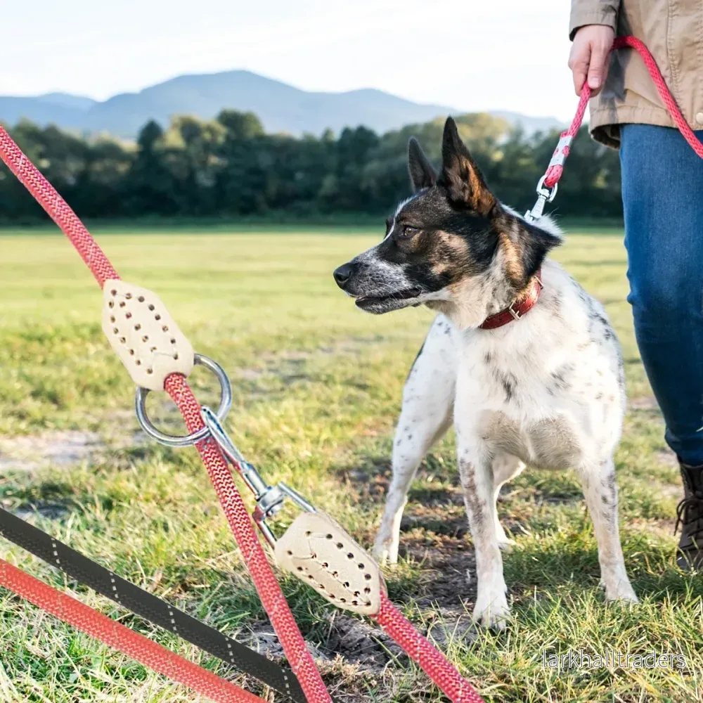 Hundkoppel 2 meter med karbinhake i krom – Rund – ø1 cm – Hundkoppel 2 meter med karbinhake i krom – Rund – ø1 cm –