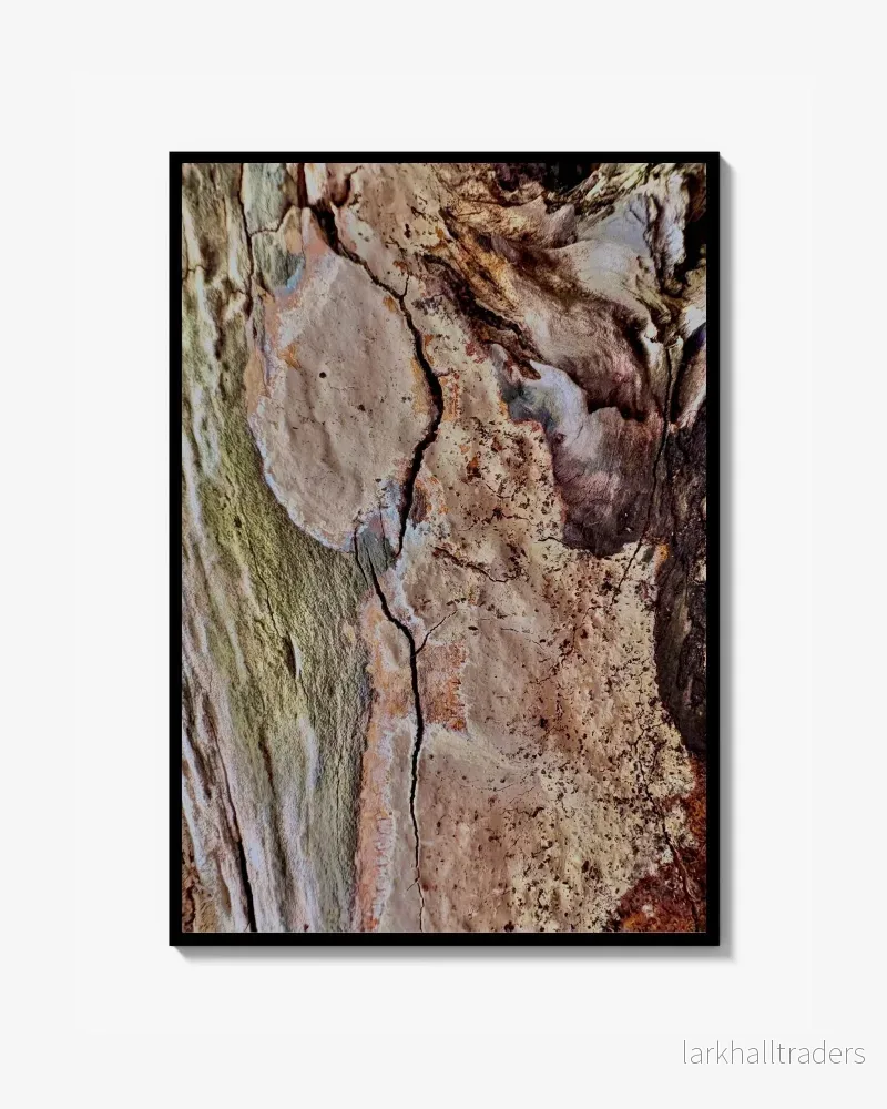 Lichen Reverie - Fotoposter Print