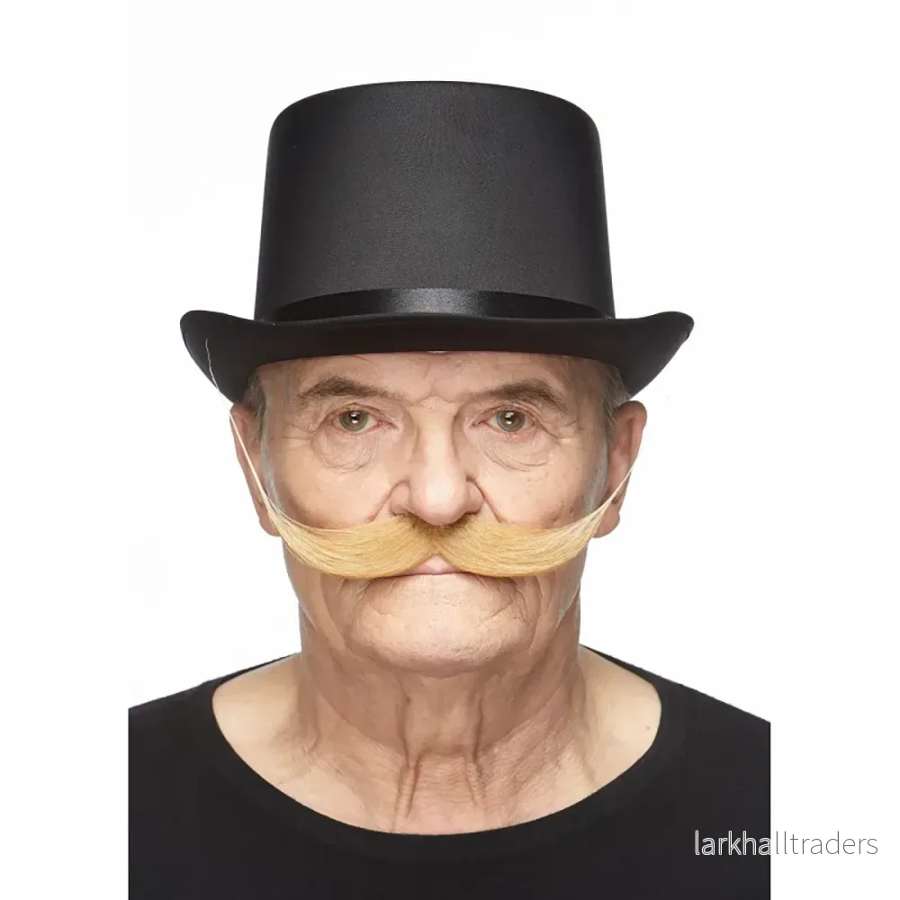 Mustasch, maestro blond - Bild 2