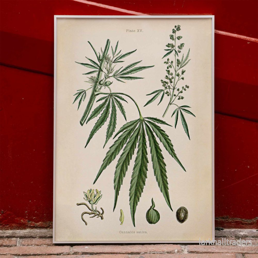 Cannabisplansch 2 Poster
