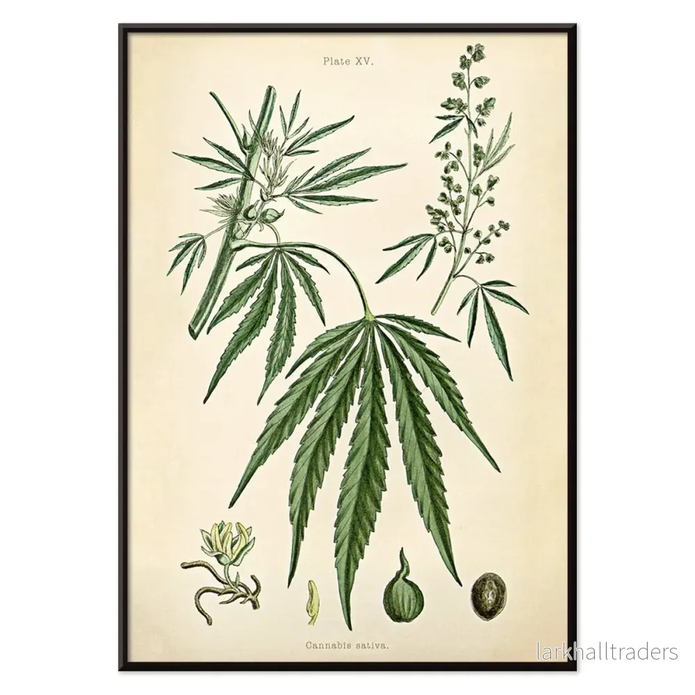 Cannabisplansch 2 Poster - Bild 2