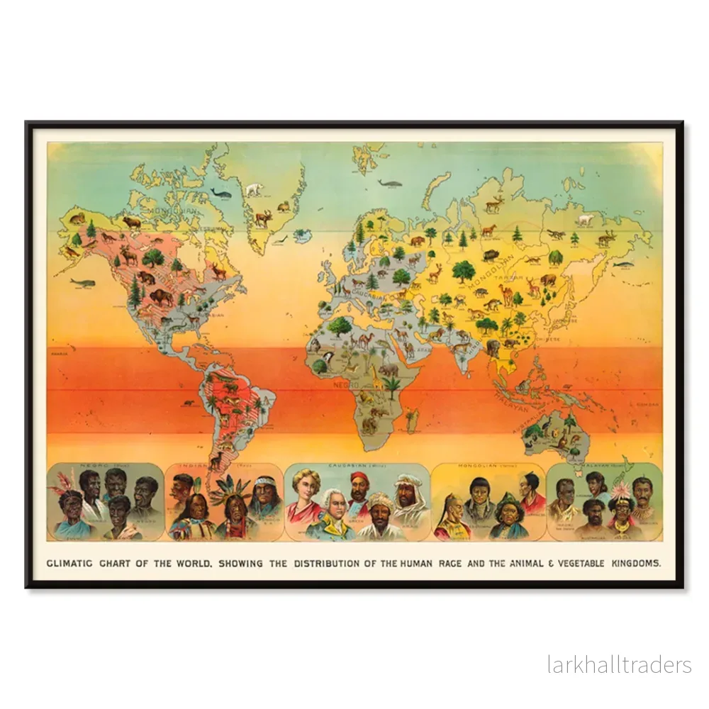 Klimatkarta över världen Poster - Bild 2