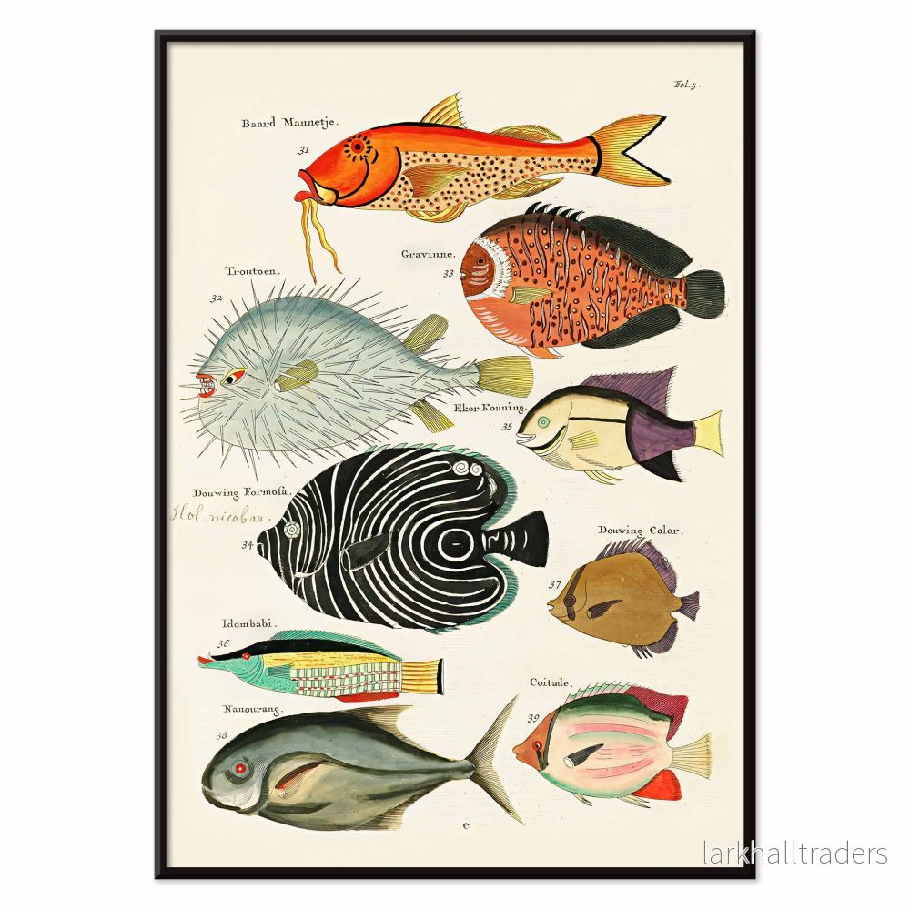 Surrealistiska fiskillustrationer Poster - Bild 2