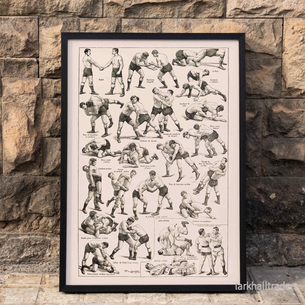 Brottning Poster