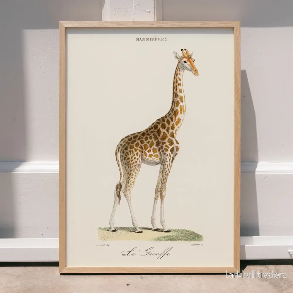 La Giraffe Poster